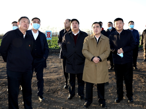 20211021  王智奎在雙礦調(diào)研05 張憲臣攝