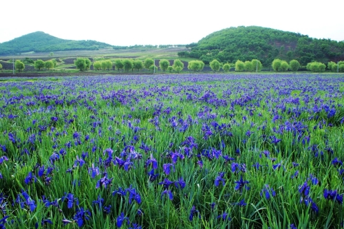 微信圖片_20230409181012