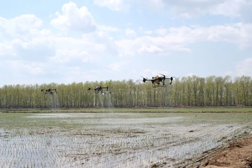 微信圖片_20231017221352