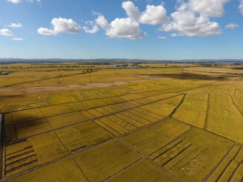 微信圖片_20231017221405