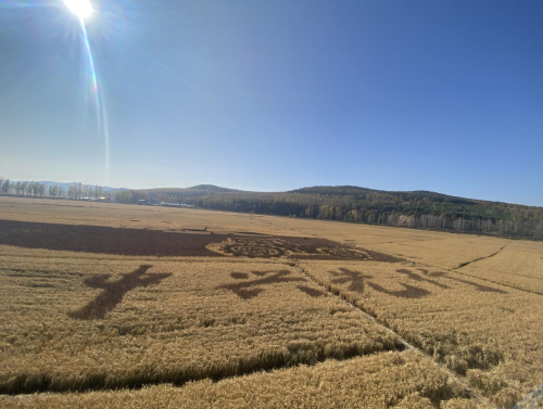 微信圖片_20231102221830