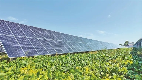 微信圖片_20231105003901