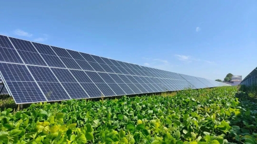 微信圖片_20240111184850