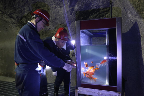 微信圖片_20250619230544