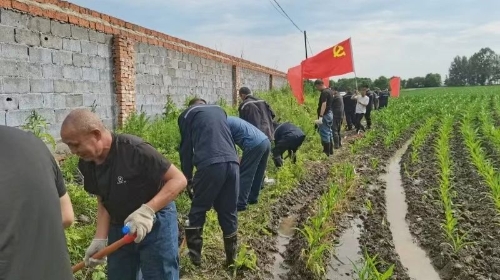 微信圖片_20250706204227